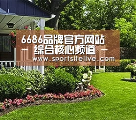 6686品牌官方网站 - 综合核心频道 - 实时信息入口