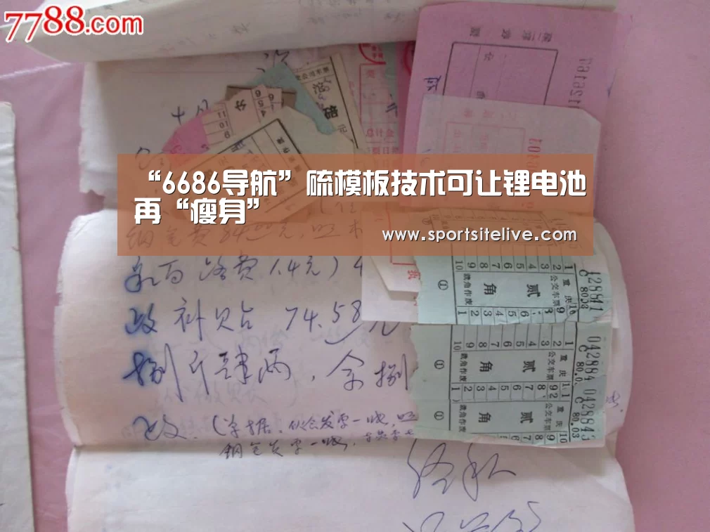 “6686导航”硫模板技术可让锂电池再“瘦身”(图2) 6686官网