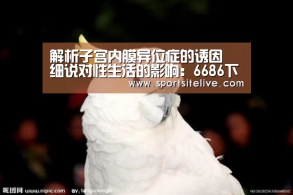 解析子宫内膜异位症的诱因 细说对性生活的影响:6686下载(图2) 6686官网