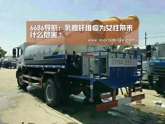 6686官网