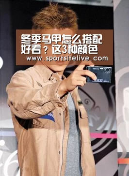 冬季马甲怎么搭配好看?这3种颜色的马甲时髦简约超好看-6686下载(图1) 6686导航